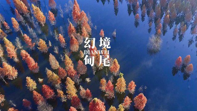 神秘的机场